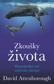 E-kniha Zkoušky života