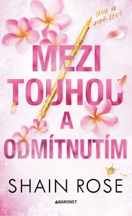E-kniha Mezi touhou a odmítnutím