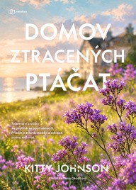 E-kniha Domov ztracených ptáčat