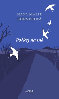 E-kniha Počkej na mě