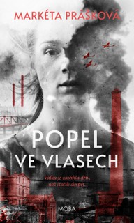 E-kniha Popel ve vlasech