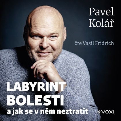 Mluvené slovo Labyrint bolesti