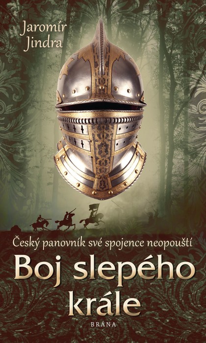 E-kniha Boj slepého krále