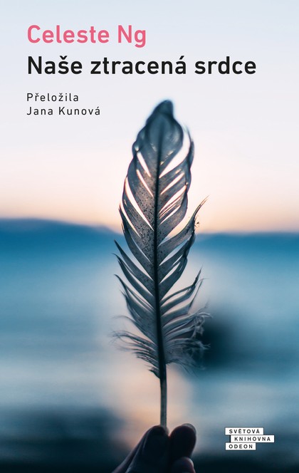 E-kniha Naše ztracená srdce