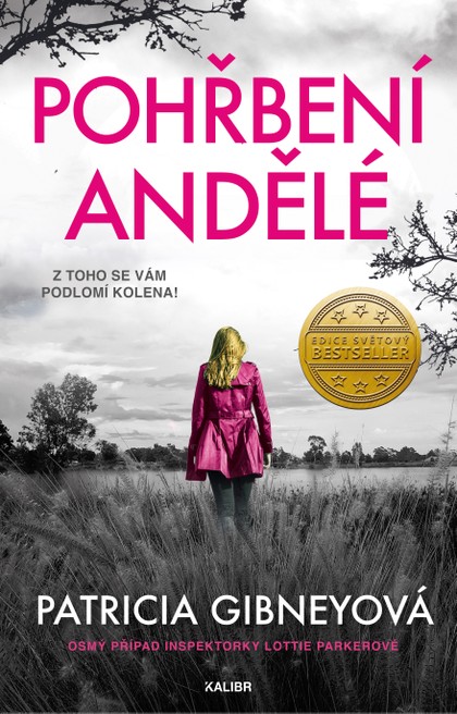 E-kniha Pohřbení andělé