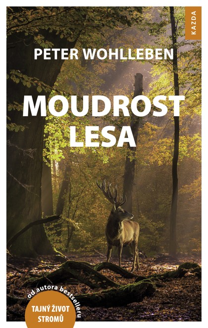 E-kniha Moudrost lesa