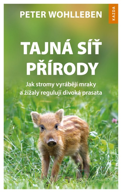 E-kniha Tajná síť přírody