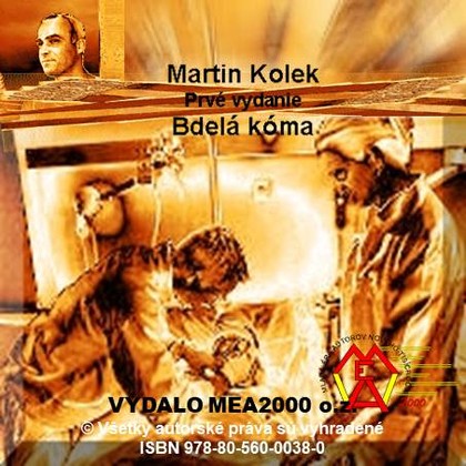 E-kniha Bdelá kóma
