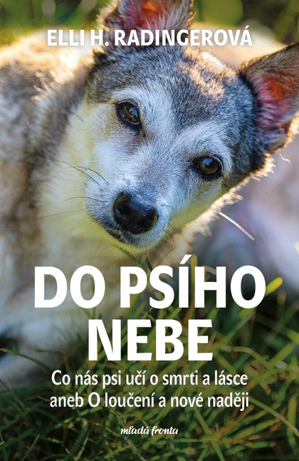 E-kniha Do psího nebe
