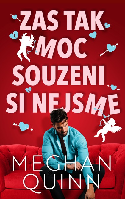 E-kniha Zas tak moc souzeni si nejsme