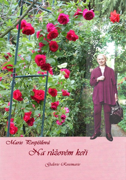 E-kniha Na růžovém keři - Příběhy umělecké historičky