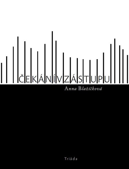 E-kniha Čekání v zástupu