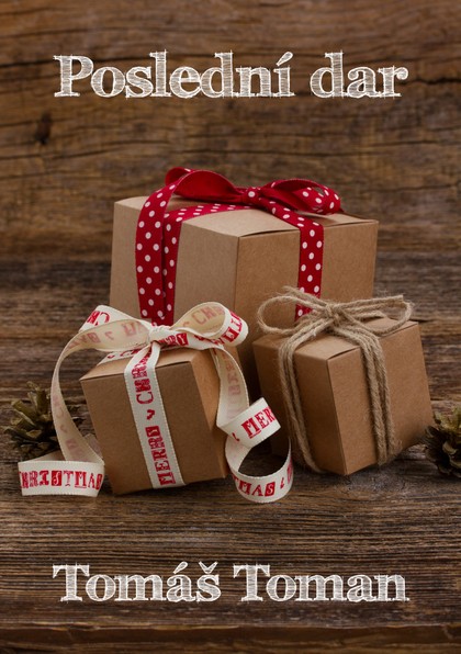 E-kniha Poslední dar