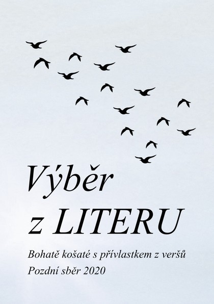 E-kniha Výběr z LITERU