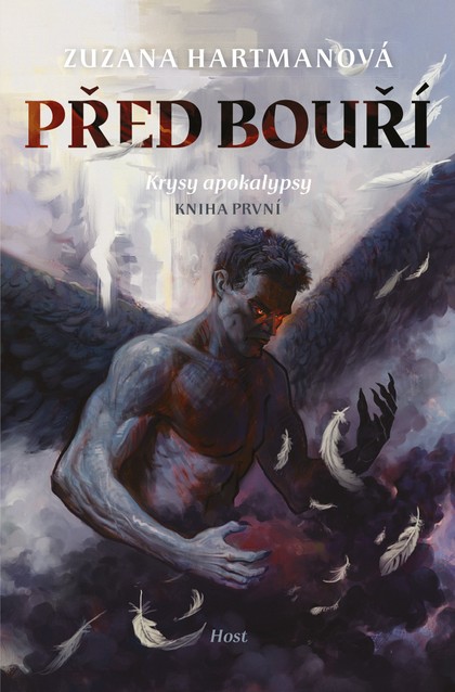 E-kniha Před bouří