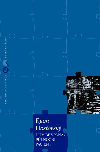 E-kniha Dům bez pána / Půlnoční pacient