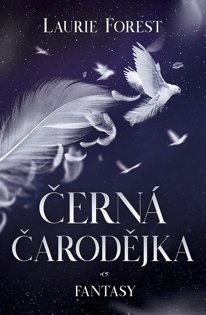 E-kniha Černá čarodějka