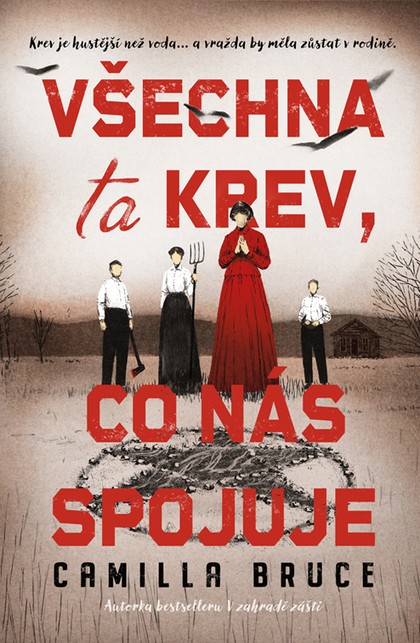 E-kniha Všechna ta krev, co nás spojuje