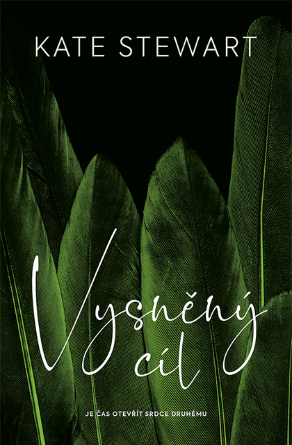 E-kniha Vysněný cíl