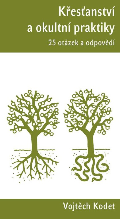 E-kniha Křesťanství a okultní praktiky