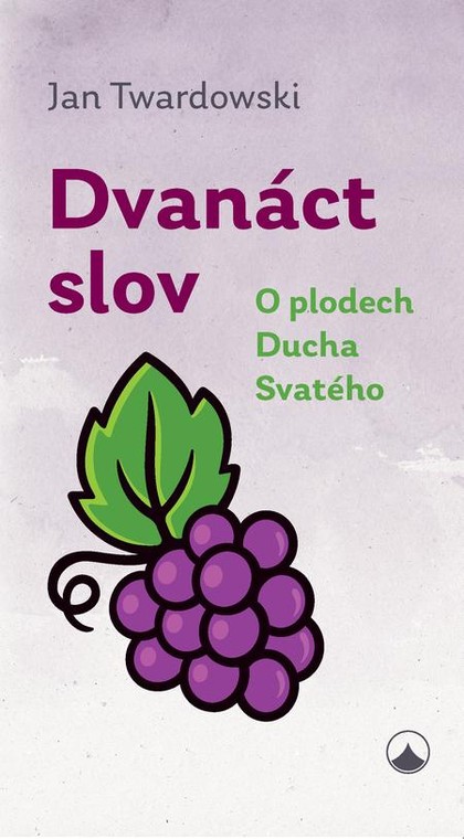 E-kniha Dvanáct slov