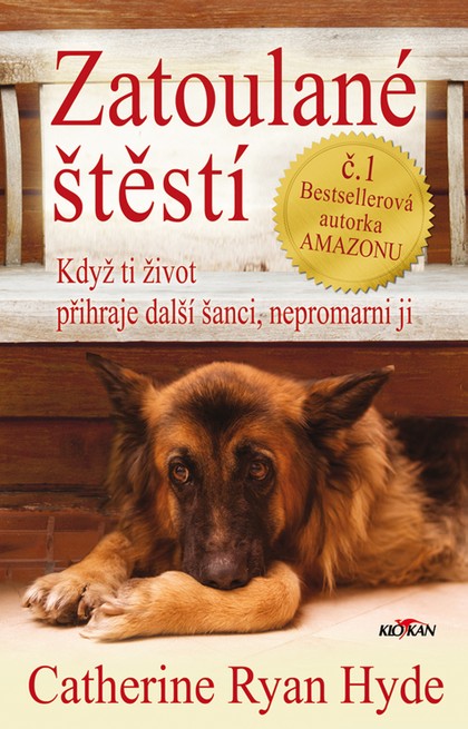 E-kniha Zatoulané štěstí