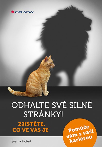 E-kniha Odhalte své silné stránky!