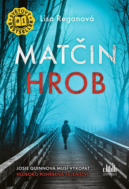 E-kniha Matčin hrob