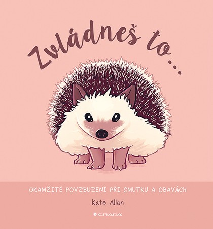 E-kniha Zvládneš to...