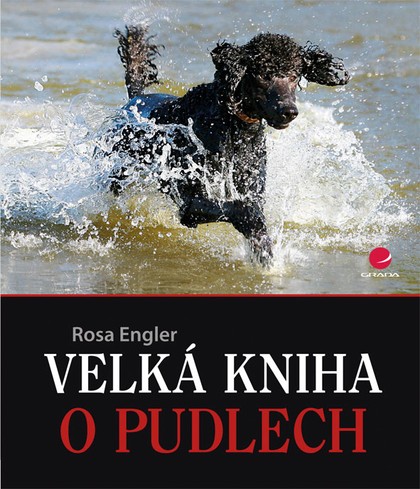 E-kniha Velká kniha o pudlech