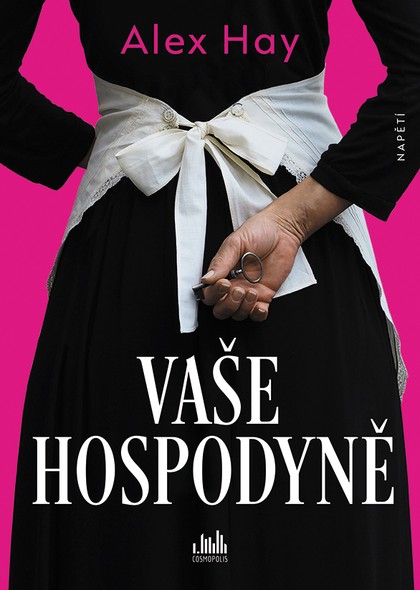 E-kniha Vaše Hospodyně