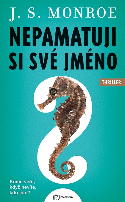 E-kniha Nepamatuji si své jméno