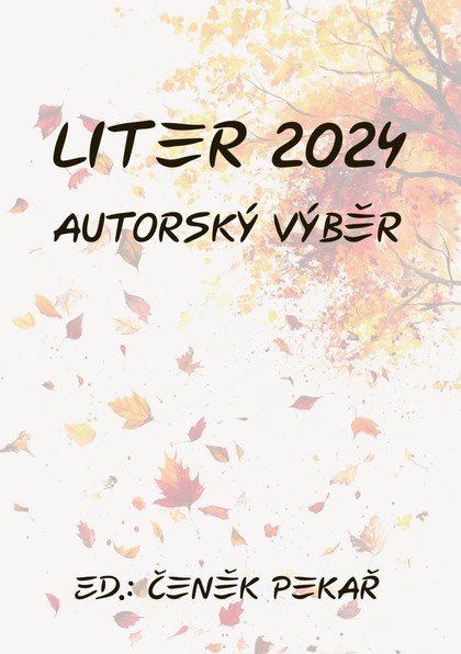 E-kniha Liter 2024: Autorský výběr