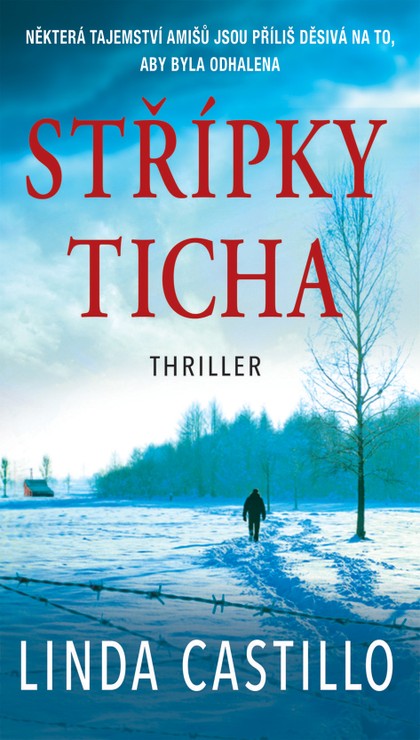 E-kniha Střípky ticha