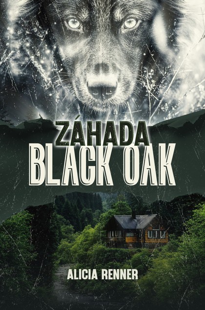 E-kniha Záhada Black Oak