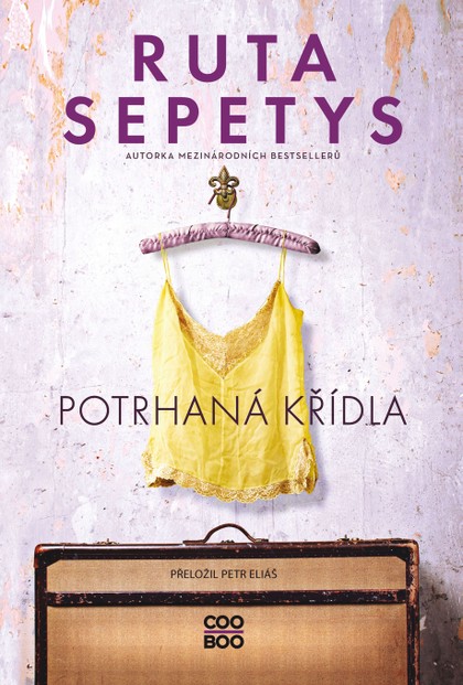 E-kniha Potrhaná křídla