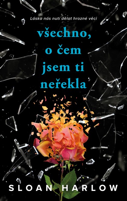 E-kniha Všechno, o čem jsem ti neřekla