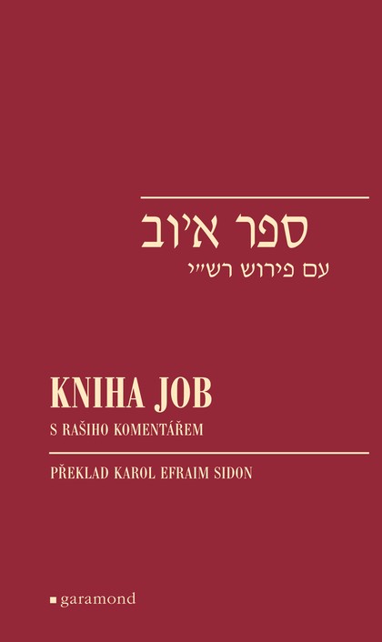E-kniha Kniha Job