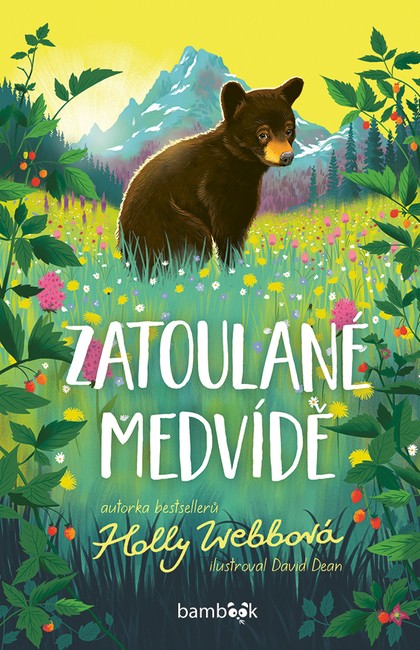 E-kniha Zatoulané medvídě