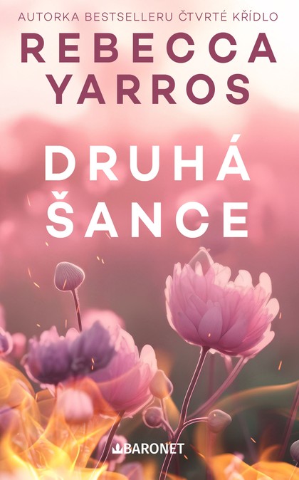 E-kniha Druhá šance