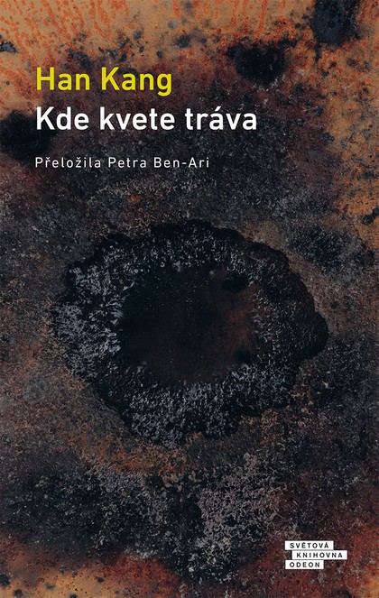 E-kniha Kde kvete tráva
