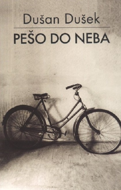 E-kniha Pešo do neba