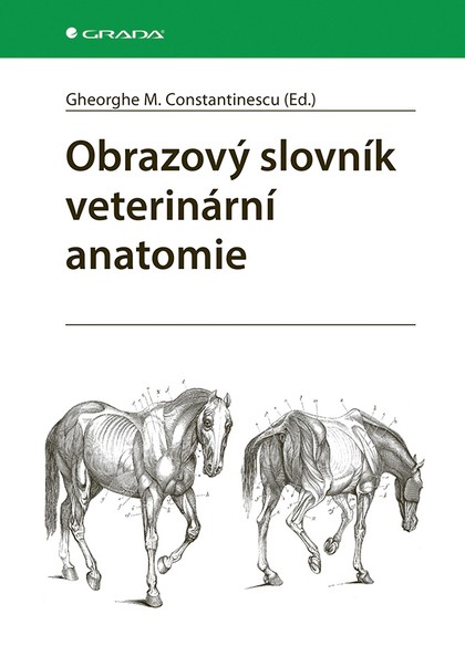 E-kniha Obrazový slovník veterinární anatomie