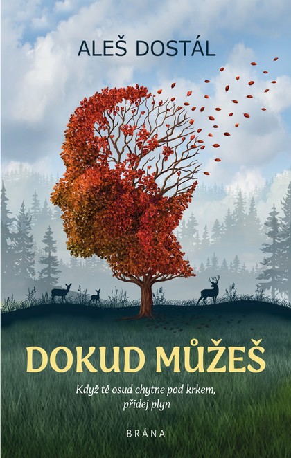 E-kniha Dokud můžeš