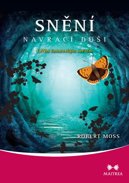 E-kniha Snění navrací duši
