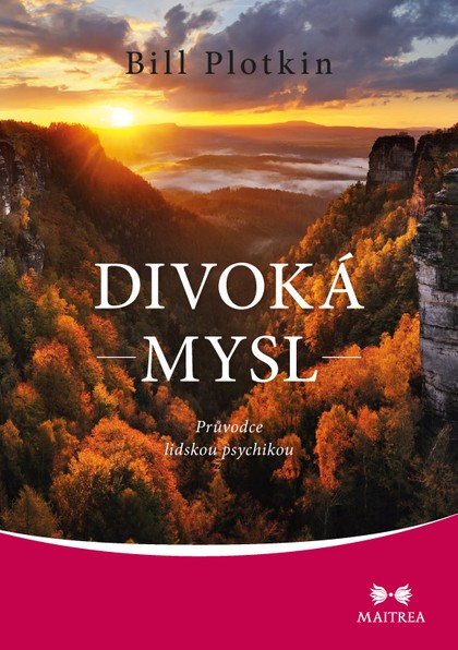 E-kniha Divoká mysl