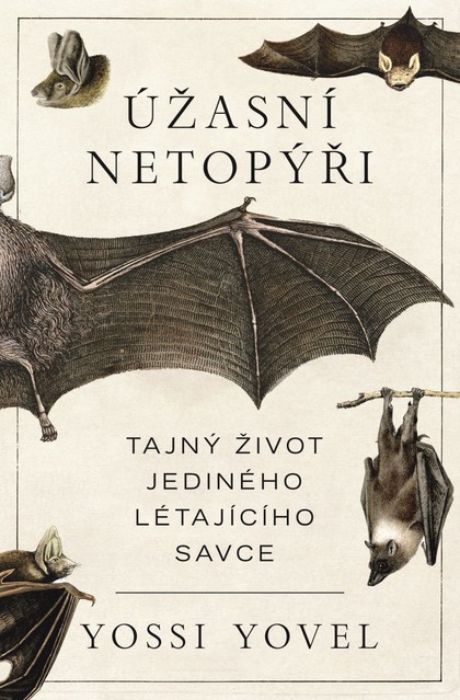 E-kniha Úžasní netopýři