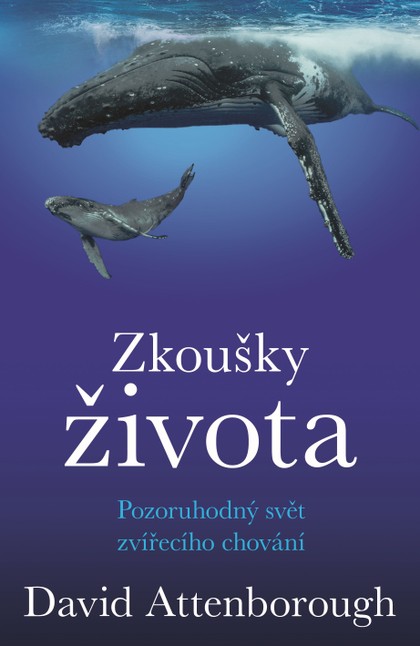 E-kniha Zkoušky života