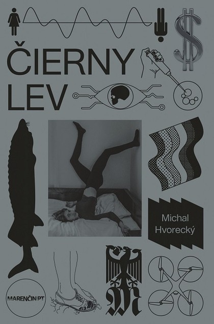 E-kniha Čierny lev