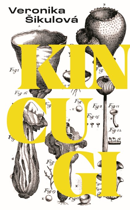 E-kniha Kincugi